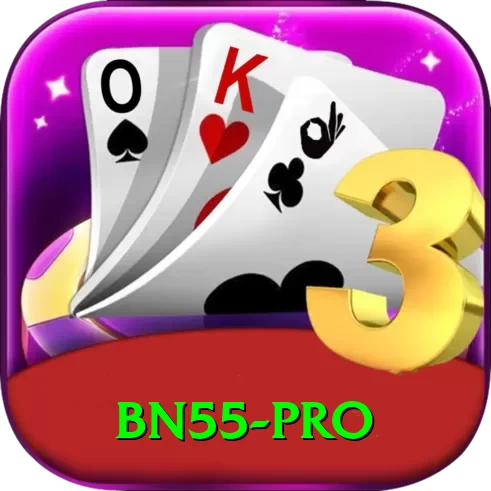 bn55 Casino Pro v4.3.8 - 2