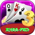 bn55 Casino Pro v4.3.8