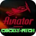 cricket pitch Max APK v5.8.2