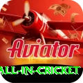 fastest ball in cricket - Casino King