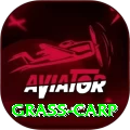 grass carp Game Elite v1.9.2