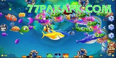 fishing shop near me Elite Pakistan Screenshot 2 - 4