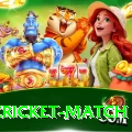 india cricket match Cash Super