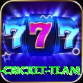 ireland cricket team Deluxe Rewards