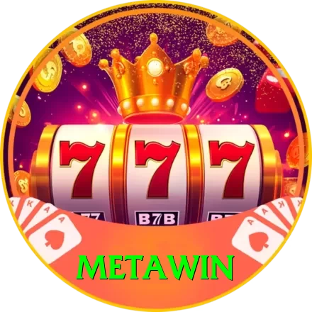 Metawin VIP Pro v5.4.8 - 2