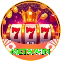 Metawin VIP Pro v5.4.8