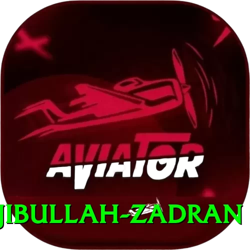 najibullah zadran Master New - 2