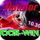 Noob Win Pro v2.8.8
