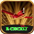 r cricket Casino Ultimate v1.9.3