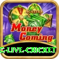 smartcric live cricket Games Legend
