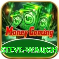 steve waugh APK Super v3.6.5