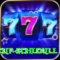 t20 world cup schedule APK Champion v5.0.1