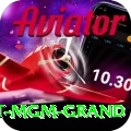 the signature at mgm grand VIP Gaming App