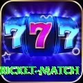 to day cricket match Gaming Ultimate v4.7.2