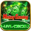 watch live cricket PK Supreme