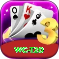 wc t20 - Pro Earning App