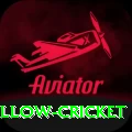 willow cricket Gaming Pro v4.5.4